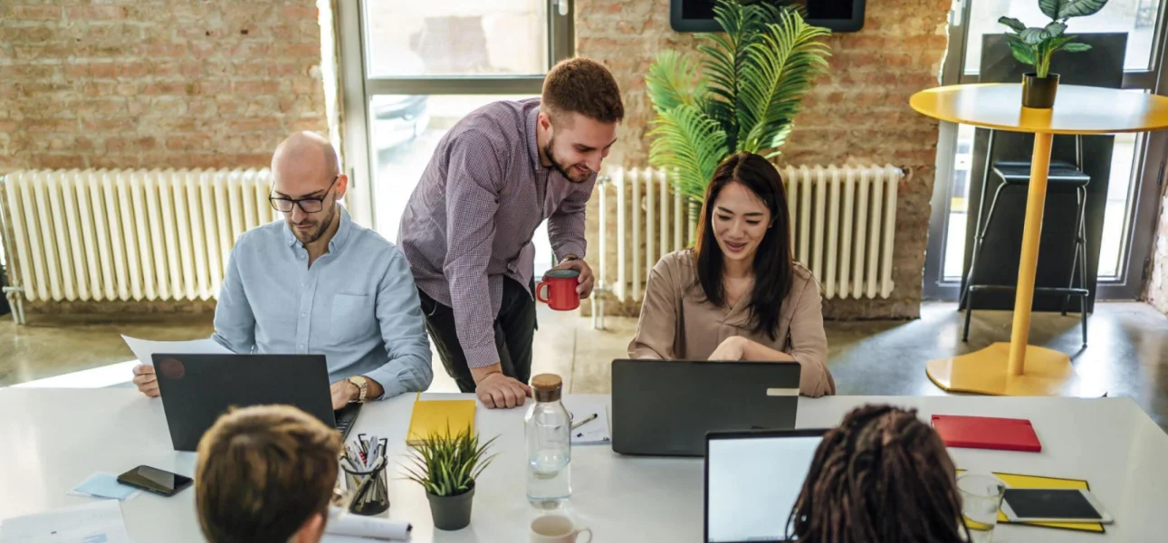 The ENUM team at work